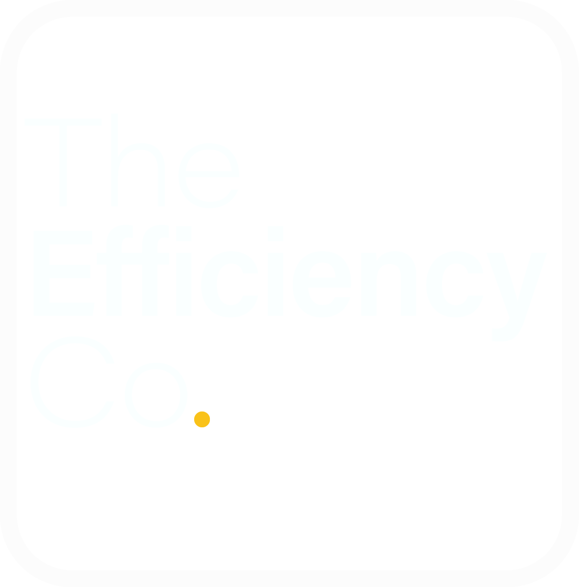 The Efficiency Co.